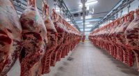 Braziliyadan ölkəmizə ət idxalına qadağa qoyulub? - RƏSMİ AÇIQLAMA