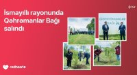 İsmayıllıda 189 şəhidin xatirəsinə &ldquo;Qəhrəmanlar Bağı&rdquo; salındı
