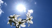 Sabah hava necə olacaq? &ndash; PROQNOZ