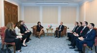 Ceyhun Bayramov gürcü həmkarı ilə nələri müzakirə etdi? - FOTO