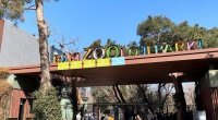 Bu qurum niyə 350 min manata siçan-siçovul alır?