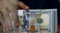Xanım sahibkar ölkədən 200 min dollar çıxartdı
