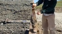 Məktəbli təsadüfən Vikinqlər dövrünə aid 1300 illik qılınc tapdı – FOTO