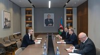 İsveç səfirinin Azərbaycandakı diplomatik fəaliyyəti başa çatdı - FOTO