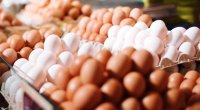 Yumurta bu gün də 1 qəpikdir - FOTO