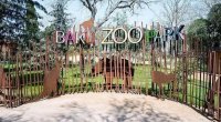 Bakı Zooparkı yeni quruma birləşdirilir