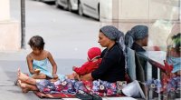 Yevlax və Xaçmazdakı qaraçılarla bağlı HESABAT HAZIRLANDI