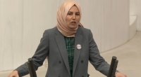 Türkiyəli deputat AŞPA-da Azərbaycanı müdafiə etdi