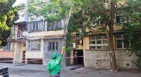 Bakıda ağaclarda dərmanlama işləri aparılır &ndash; FOTO