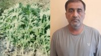 Göyçayda əməliyyat: HƏBS EDİLƏN VAR - VİDEO