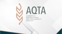 Agentlik Gəncədəki zəhərlənmə ilə bağlı araşdırmalara başladı