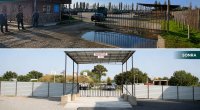 Daha bir ərazidə heyvan satışı bazarı fəaliyyətini bərpa etdi - FOTO
