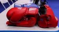 Azərbaycanın boks milliləri Türkiyəyə yollanıblar