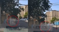 Bakıda sınan ağac budağı qadının üzərinə düşdü - ANBAAN VİDEO