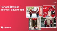 &ldquo;Pəncəli Ürəklər&rdquo; aksiyası çərçivəsində sahibsiz heyvanlar üçün yuvaların sayı 35-ə çatdı