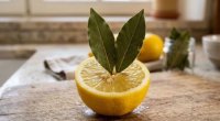 Limonun içinə dəfnə yarpağı qoyun: Sınayanlar eyni təsiri bildirirlər