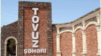 Tovuzda 65 yaşlı qadın qətlə yetirildi, qardaşı oğlu şübhəli bilinir &ndash; YENİLƏNİB
