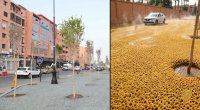 Bu yollara asfalt əvəzinə süngər döşənir