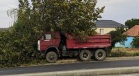 Gəncə-Kəlbəcər yolunda yük avtomobili ağaca çırpıldı - FOTO