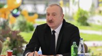 Azərbaycandan Naxçıvana Ermənistan ərazisindən elektrik xətlərinin çəkilməsi layihəsi hazırdır