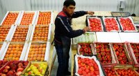 Avropa Ermənistan üçün Rusiya bazarını əvəz edə bilmədi &ndash; Erməni ekspertin rəyi