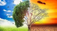 2027 iqlim kabusu ili olacaq? &ndash; Dünyanı rekord isti, güclü qasırğalar və ərzaq böhranı gözləyir