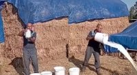 Yeni boykot üsulu: Satılmırsa, məhv et! &ndash; Şou, yoxsa haqq axtarışı?
