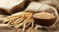 Buğda qiymətləri yüksəldi &ndash; Dünya narahatdır