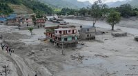 Nepalda daşqınların dağıtdığı ərazini tərk etməyən sadiq it hər kəsi kövrəltdi - FOTO