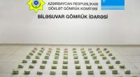 İrandan Rusiyaya aparılan &ldquo;təzə soğan&rdquo; yükündə marixuana aşkarlandı &ndash;VİDEO