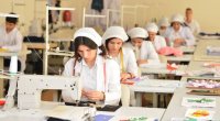Peşə təhsili müəssisələrinə qəbulun II mərhələsinin nəticələri AÇIQLANDI