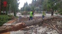 Gəncədə güclü küləyin törətdiyi fəsadlar &ndash; FOTO/VİDEO