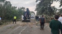 Cəlilabadda ağac avtomobilin üzərinə aşdı - FOTO/VİDEO