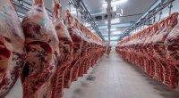 Dünyada mal əti istehsalı azalacaq &ndash; PROQNOZ