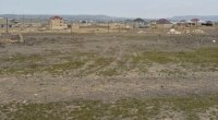 Yarım milyon manatlıq dələduzluq - Eyni torpaq xeyli adama satılıb