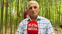 50 günə yetişdirdiyi ağacları biznesə çevirdi &ndash; Lənkəranlı fermerin bambuk &ldquo;meşəsi&rdquo; &ndash; FOTO