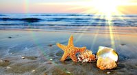 Sabah 34 dərəcə isti olacaq &ndash; PROQNOZ