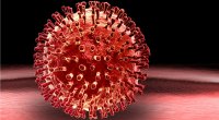 Ukraynada virus həyəcanı: Sürətlə naməlum infeksiya yayılır