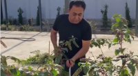 Elgiz bağ evini nümayiş etdirdi - (Video)