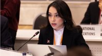Nəzrin Əliyeva: &ldquo;İtkin düşmüş şəxslərin taleyinin naməlum qalması ağır humanitar faciədir&rdquo; &ndash; VİDEO