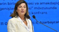 Kütləvi məzarlıqlar açıq yara kimi qalır - Katrin Bomberger