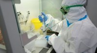 Rusiyada taun epidemiyası riski var? - ÜST BƏYANAT YAYDI