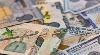 Manatın taleyi ilə bağlı 4 illik PROQNOZ AÇIQLANDI