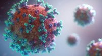 Təhlükəli virus şimala doğru yayılır, 130 nəfər ölüb &ndash; Avropada HƏYƏCAN