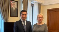 Hikmət Hacıyev İsveç səfiri ilə görüşdü &ndash; FOTO