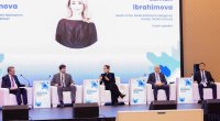 Xankəndidə beynəlxalq forumda &ldquo;ASAN xidmət&rdquo; təcrübəsi təqdim olundu - FOTO