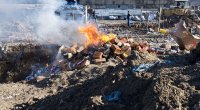 Təhlükəli mallar dövriyyədən çıxarılıb, məhv ediləcək &ndash; YENİ QAYDALAR