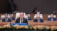 Ceyhun Bayramov TDT sammitində çıxış etdi – Sülh sazişi ilə bağlı çağırış - Foto