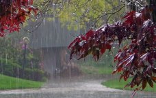 Qeyri-sabit hava nə vaxtadək davam edəcək?