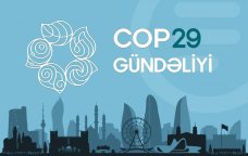 COP29 gündəliyi - 14.11.2024